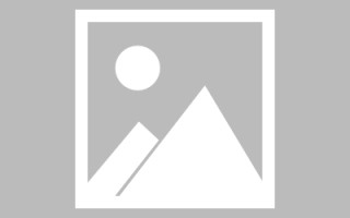 泽州网页设计师周记（网页设计周记26篇300字）