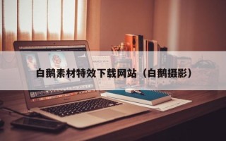 泽州白鹅素材特效下载网站（白鹅摄影）
